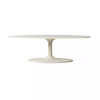 Simone Oval Coffee Table