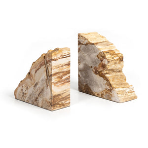 Petrified Wood Book Ends