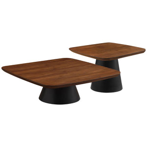 Evan 2-piece Coffee Table Set Walnut