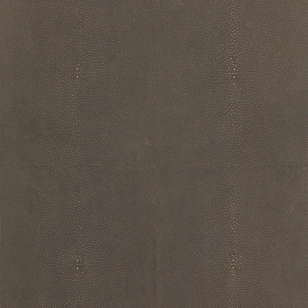 Shagreen Desk