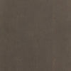 Shagreen Desk