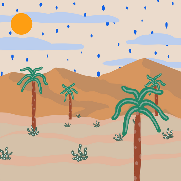 W.E Desert Palm