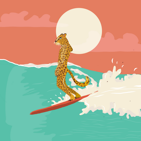 Cheetah Surfing