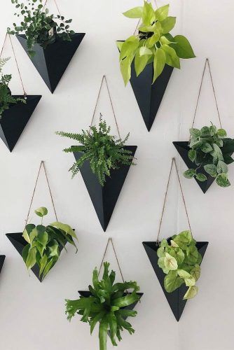 Succulent Wall Planters