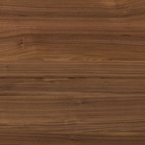Ripcurl Desk