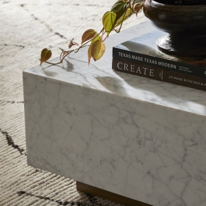 Ribiera Coffee Table