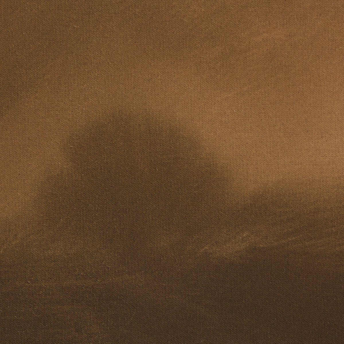 The Light