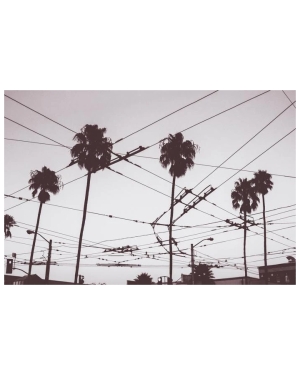 The SF Mission 40" x 60"