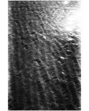 Surface Memory 40"X60"