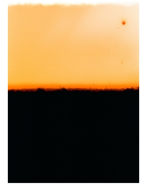 Golden Interval 40"X60"