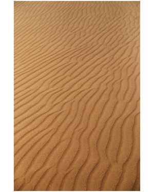 Rhythm Of The Wind 36 40"X60"