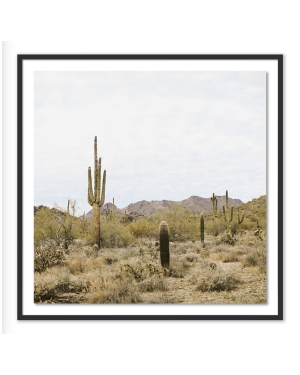 High Desert by Wesley and Emma Teague