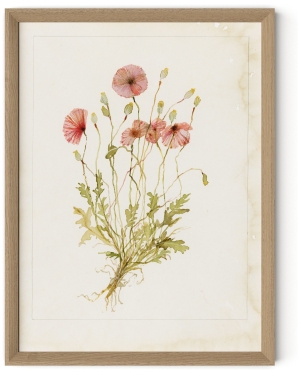 Papaveraceae No. 2 by Laurel-Dawn Latshaw