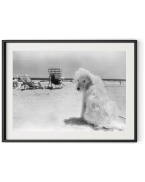 Lois At The Beach by Barbara Alper